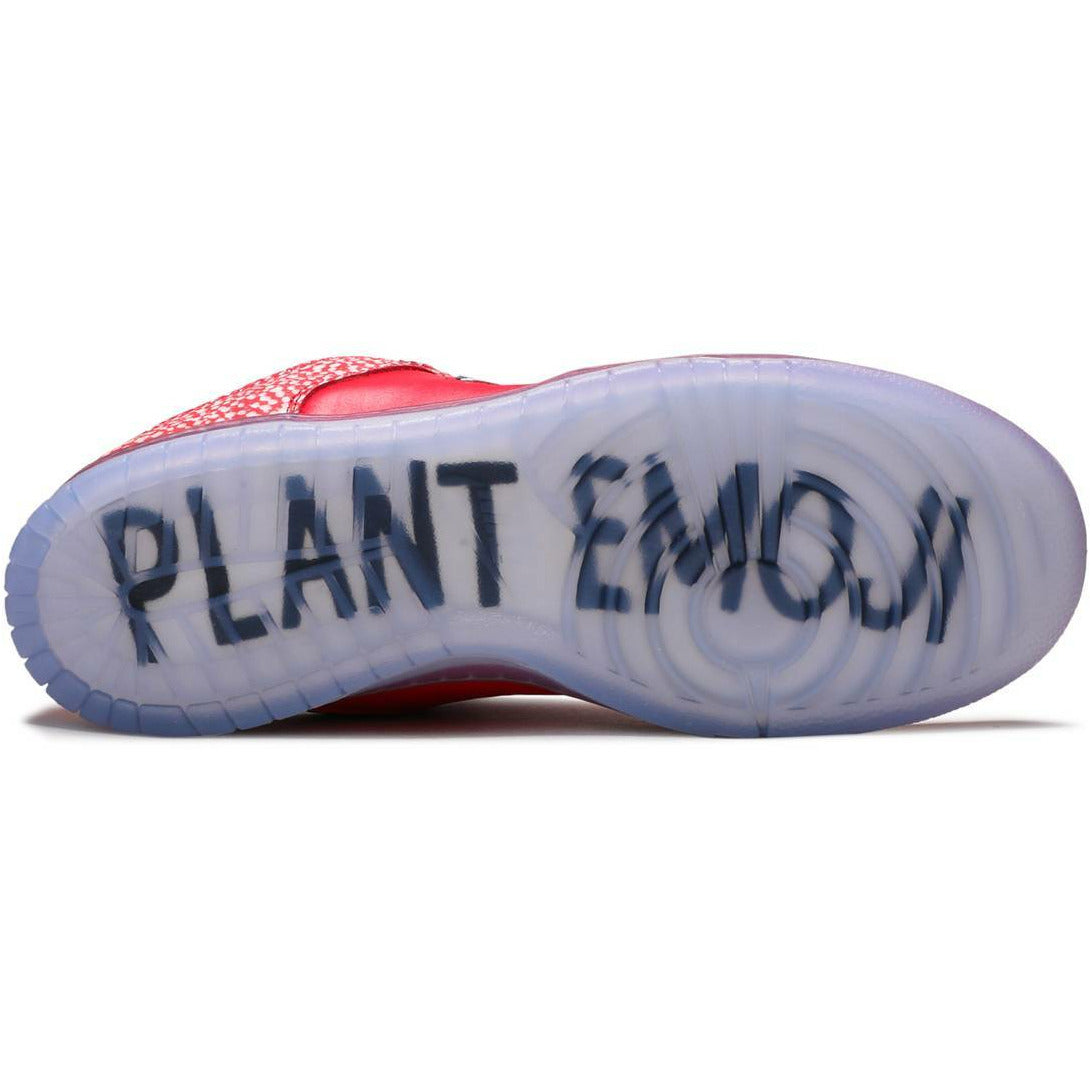 Dunk SB Low "Stingwater Magic Mushroom" (2021) | MrSneaker