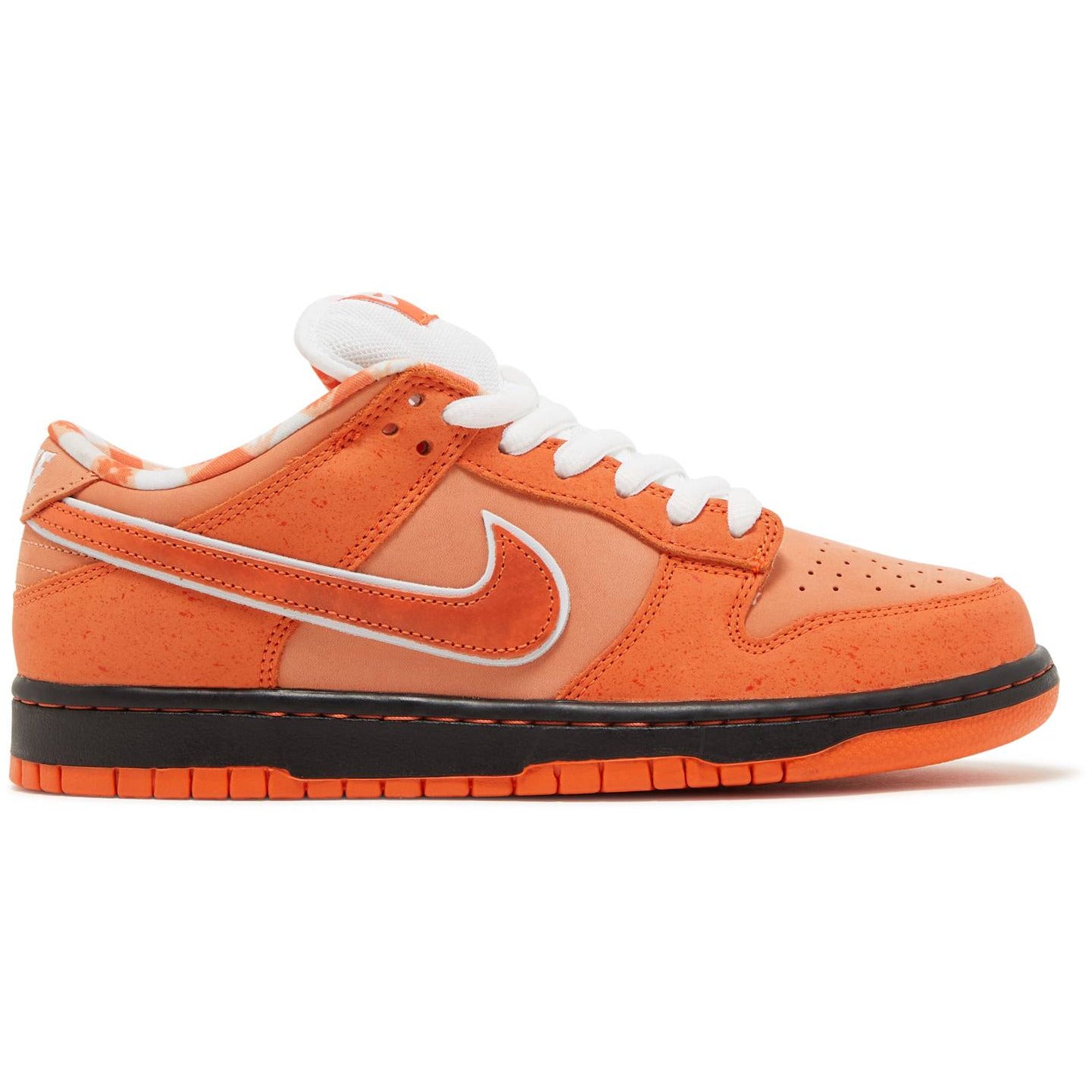 Concepts X Dunk Low SB "Orange Lobster" (2022) | MrSneaker