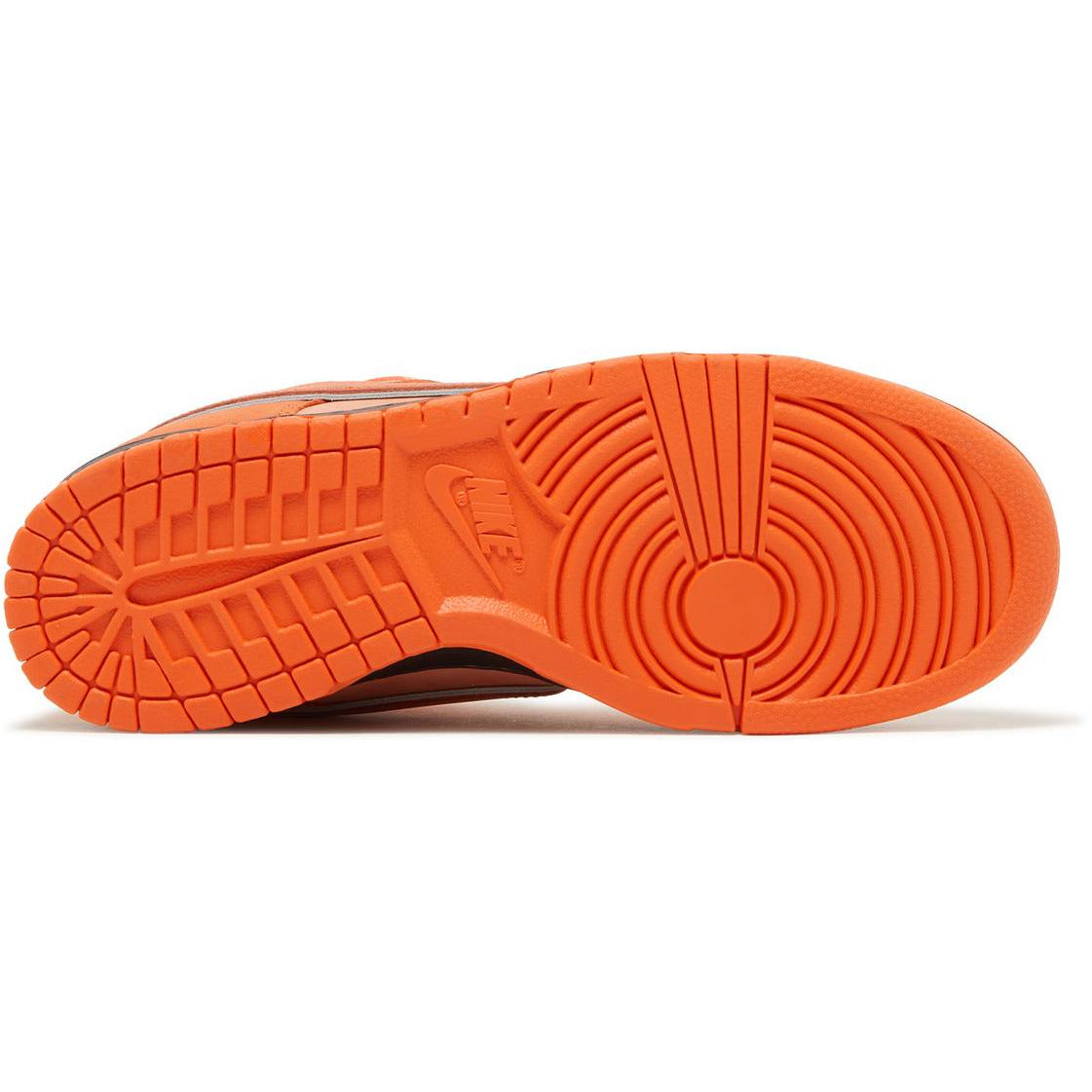 Concepts X Dunk Low SB "Orange Lobster" (2022) | MrSneaker