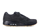 Air Maxim 1 APC SP "APC" | MrSneaker