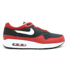 Air Max 1 "Black & Varsity Red" (2009) | MrSneaker