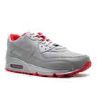 Air Max 90 "Silver Bullet" (2010) | MrSneaker