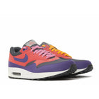 Air Max 1 "ACG Pack" (2010) | MrSneaker