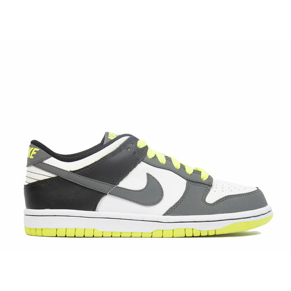 Dunk Low 'Neon' (GS/Juniors) (2010)