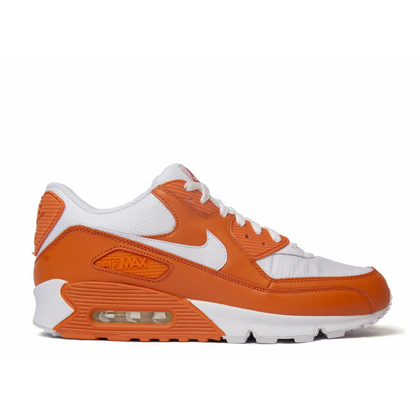 Air Max 90 (2010)